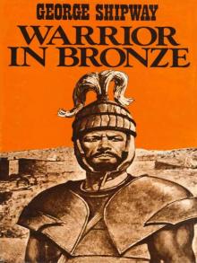 Warrior in Bronze