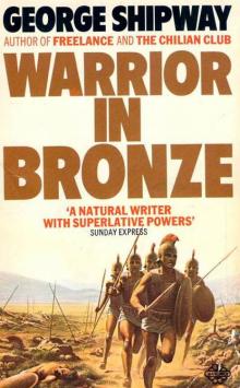 Warriors in Bronze