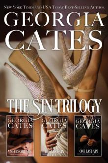 The Sin Trilogy Bundle: A Necessary Sin, the Next Sin, One Last Sin