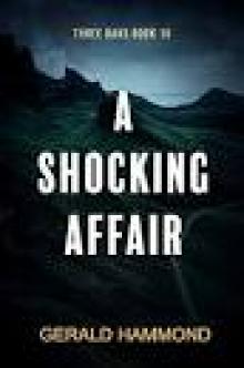 A Shocking Affair (Three Oaks Book 10)
