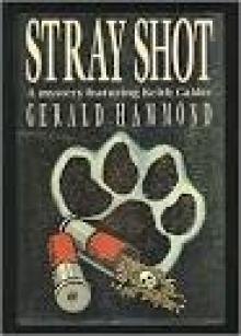 Stray Shot