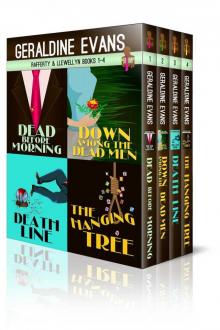 RAFFERTY & LLEWELLYN BOXED SET: BOOKS 1 - 4 RAFFERTY & LLEWELLYN BOXED SET: BOOKS 1 - 4
