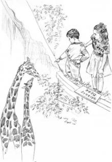 Mystery of the Mixed-Up Zoo Mystery of the Mixed-Up Zoo