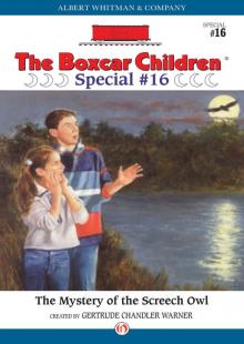 The Mystery of the Screech Owl The Mystery of the Screech Owl