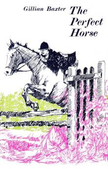 The Perfect Horse