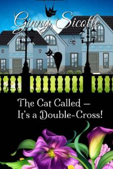 The Cat Called — It's a Double-Cross!: Widowbrook Mysteries Book 5