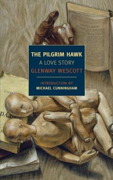 The Pilgrim Hawk The Pilgrim Hawk
