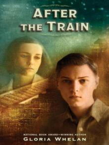 After the Train After the Train
