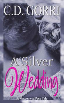 A Silver Wedding: Matt and Lilly