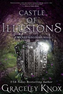 Castle of Illusions (Wicked Kingdoms Book 4)