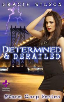 Determined & Derailed (Storm Corp Book 1) Determined & Derailed (Storm Corp Book 1)