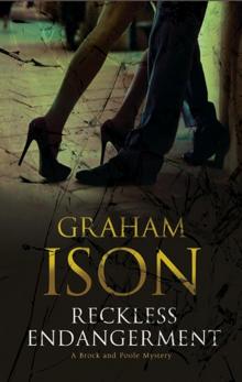 Reckless Endangerment--A Brock and Poole Police Procedural