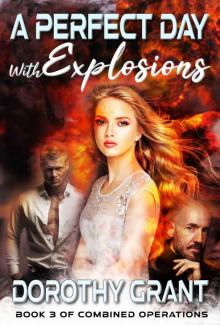 A Perfect Day, With Explosions A Perfect Day, With Explosions