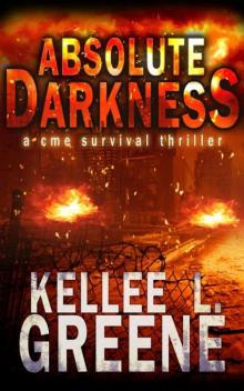 The Great Solar Storm | Book 1 | Absolute Darkness