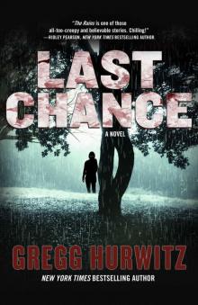 Last Chance: A Novel (The Rains Brothers)