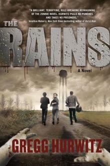 The Rains: A Novel