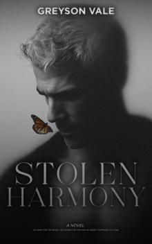 Stolen Harmony: An MM Romance