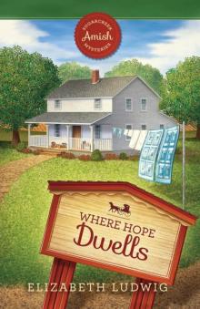 Where Hope Dwells (Sugarcreek Amish Mysteries)