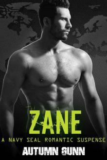 Zane: A Navy SEAL Romantic Suspense