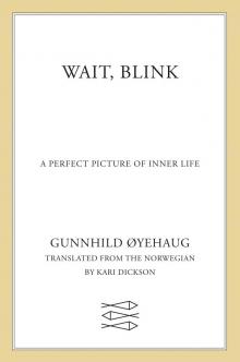 Wait, Blink Wait, Blink