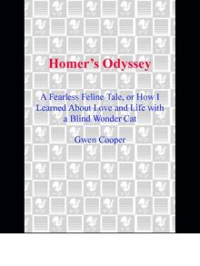 Homer's Odyssey Homer's Odyssey