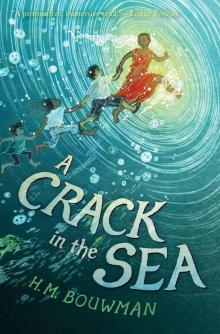 A Crack in the Sea A Crack in the Sea