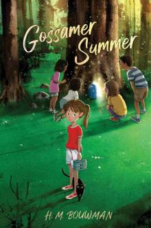 Gossamer Summer Gossamer Summer