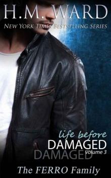 Life Before Damaged, Volume 3 Life Before Damaged, Volume 3