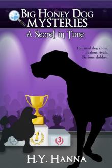A Secret in Time A Secret in Time