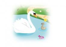 The Ugly Duckling (Graphic Spin) The Ugly Duckling (Graphic Spin)