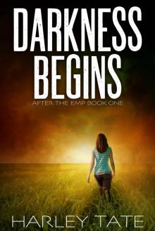 Darkness Begins: A Post-Apocalyptic Survival Thriller (After the EMP Book 1)