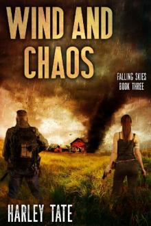 Wind and Chaos: A Post-Apocalyptic Survival Thriller