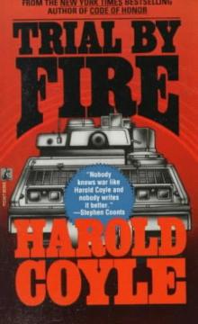 Trial by fire: a novel