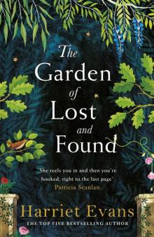 The Garden of Lost and Found The Garden of Lost and Found