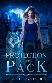 [The Other Wolf 01] - Protection of the Pack