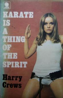 Karate Is a Thing of the Spirit