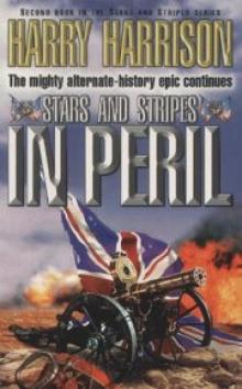 Stars and Stripes In Peril sas-2