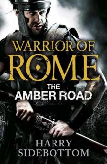 The Amber Road wor-6 The Amber Road wor-6