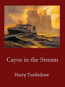 Cayos in the Stream Cayos in the Stream