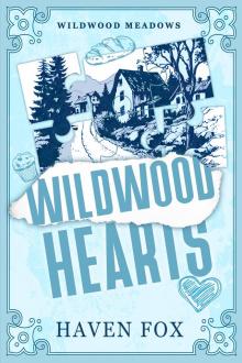 Wildwood Hearts: Small Town Romance, Grumpy Sunshine (Wildwood Meadows Series Book 1)