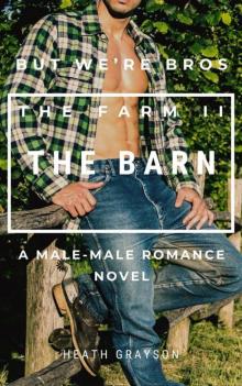 The Barn : The Farm II