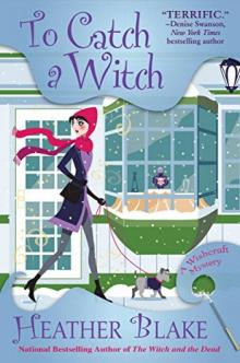 To Catch a Witch_A Wishcraft Mystery