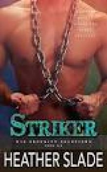 Striker (K19 Security Solutions Book 6) Striker (K19 Security Solutions Book 6)