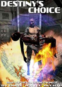 Destiny's Choice (The Wandering Engineer) Destiny's Choice (The Wandering Engineer)