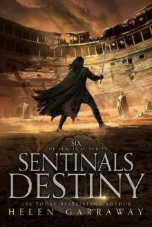 Sentinals Destiny: Book Six of the Epic Fantasy Sentinal Series