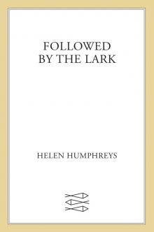 Followed by the Lark