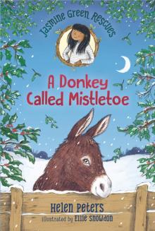 A Donkey Called Mistletoe