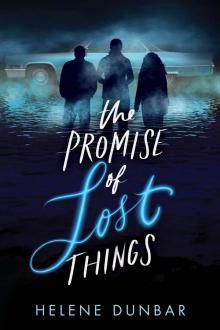 The Promise of Lost Things The Promise of Lost Things