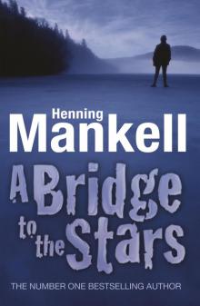 A Bridge to the Stars A Bridge to the Stars