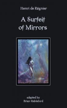 A Surfeit of Mirrors